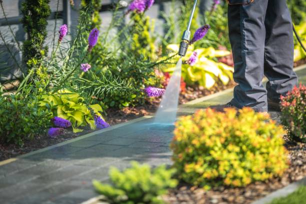 Professional Pressure Washing Services in Riverview Park, PA